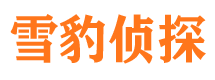 平果市婚姻出轨调查